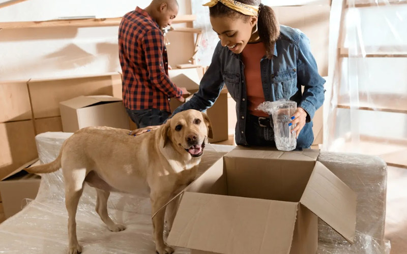 OM International Logistics Movers